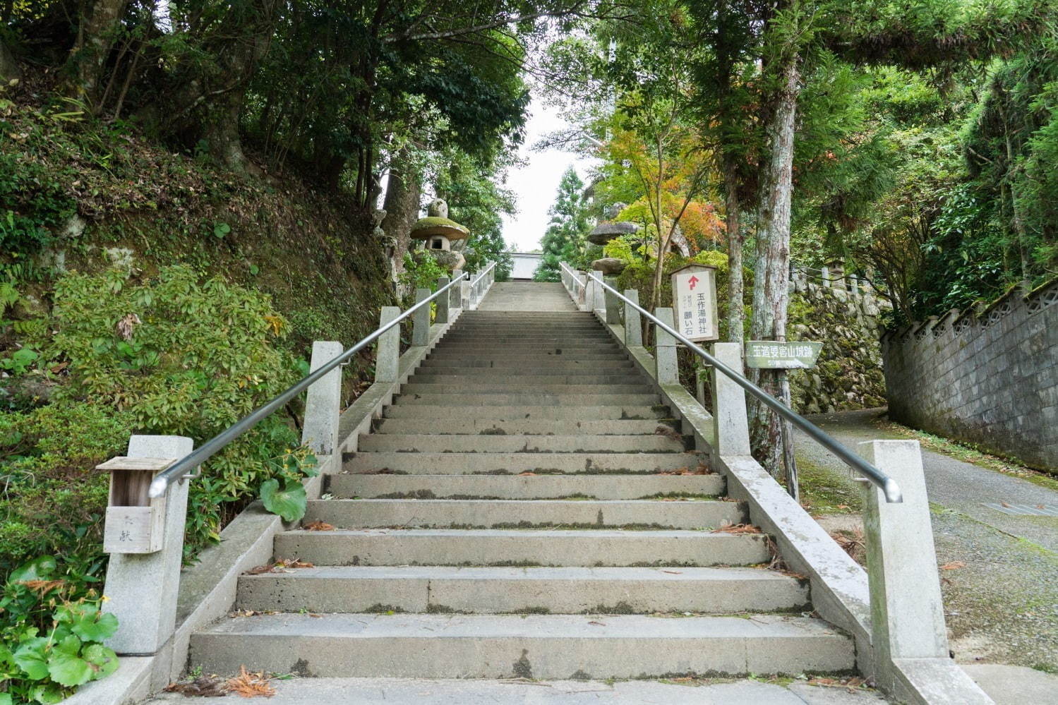 玉作湯神社 - 写真3