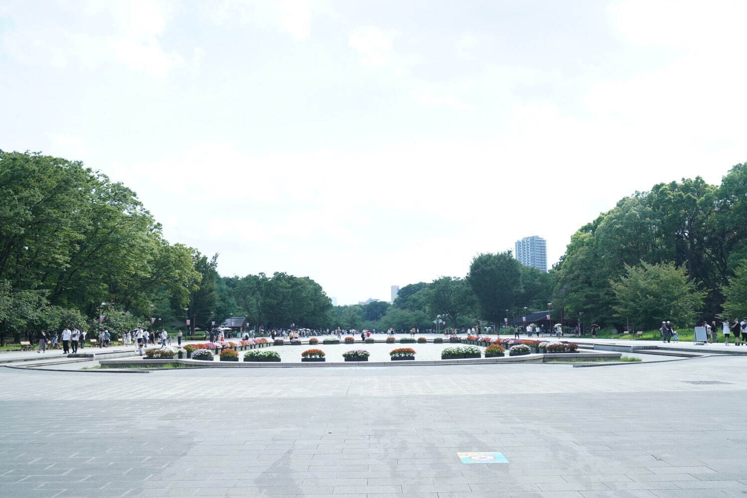 上野恩賜公園 画像1枚目