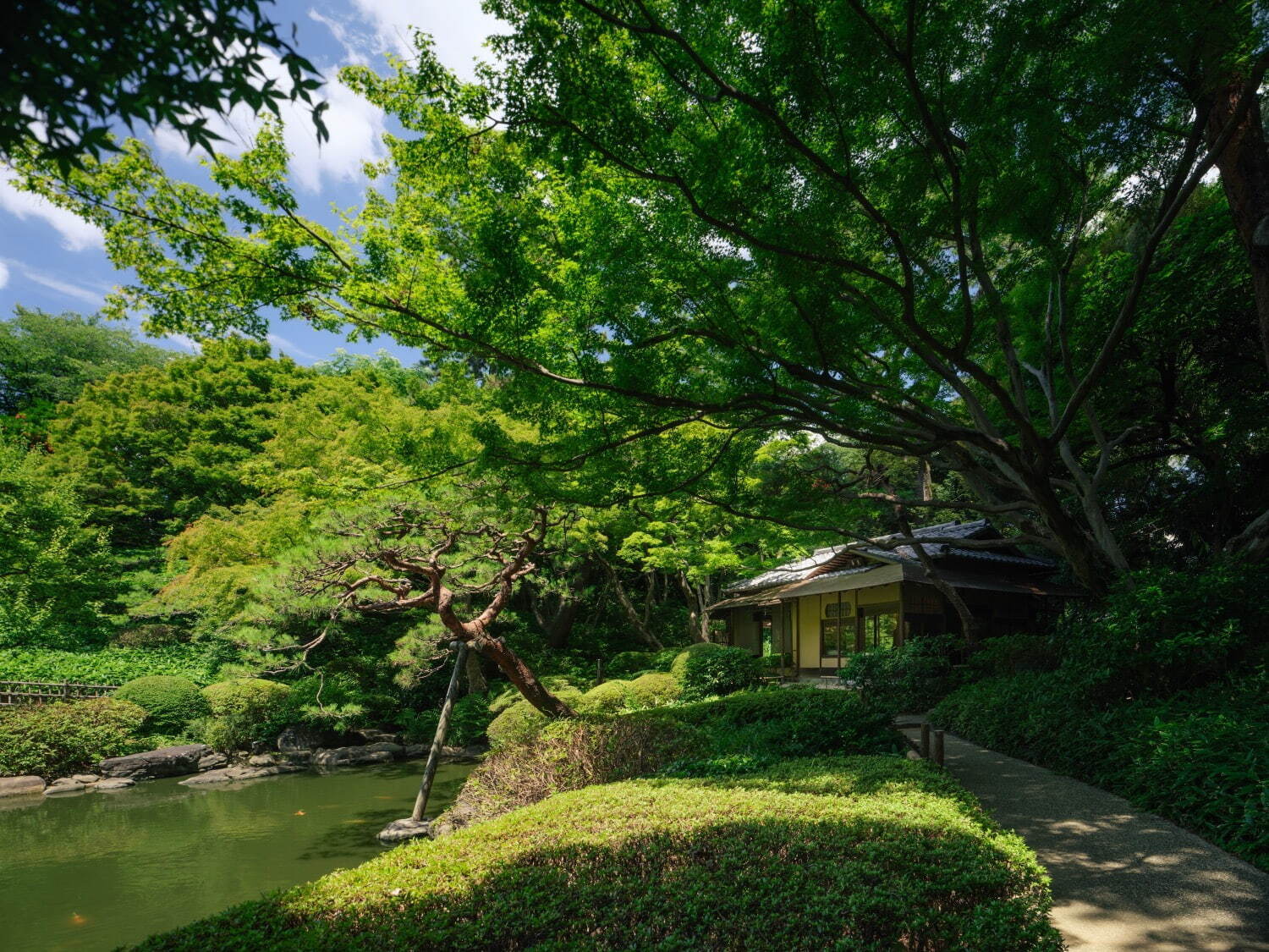 東京都庭園美術館 - 写真17