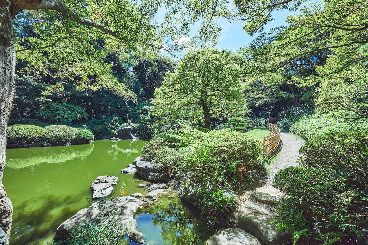 東京都庭園美術館 - 写真15