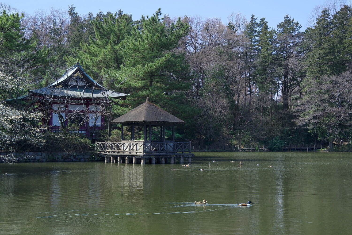 石神井公園 - 写真3