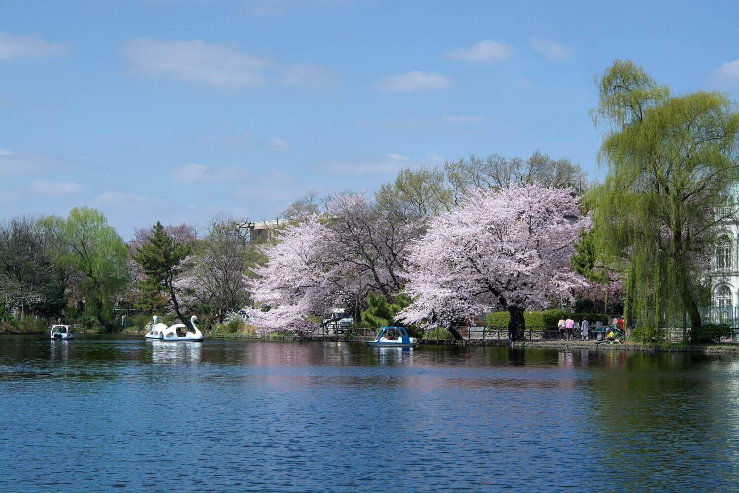 石神井公園 - 写真2