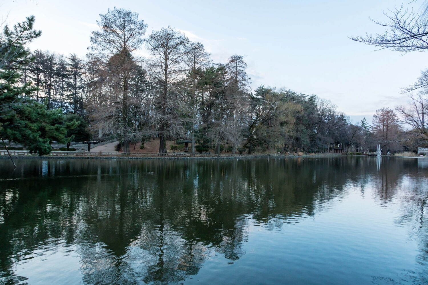 石神井公園 画像1枚目