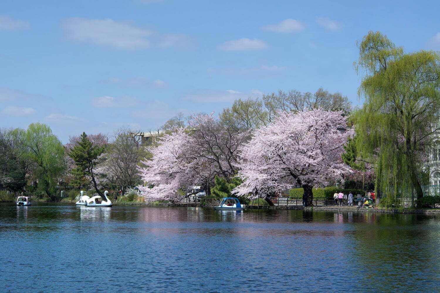 石神井公園