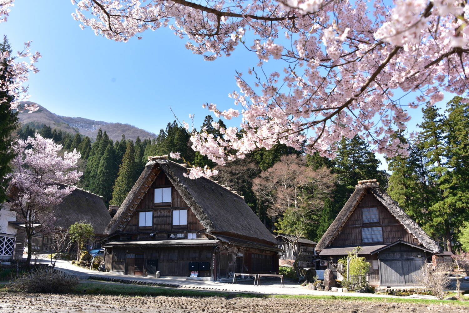 白川郷合掌造り集落 - 写真2