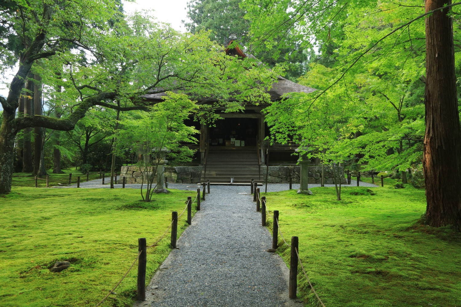 三千院 画像1枚目