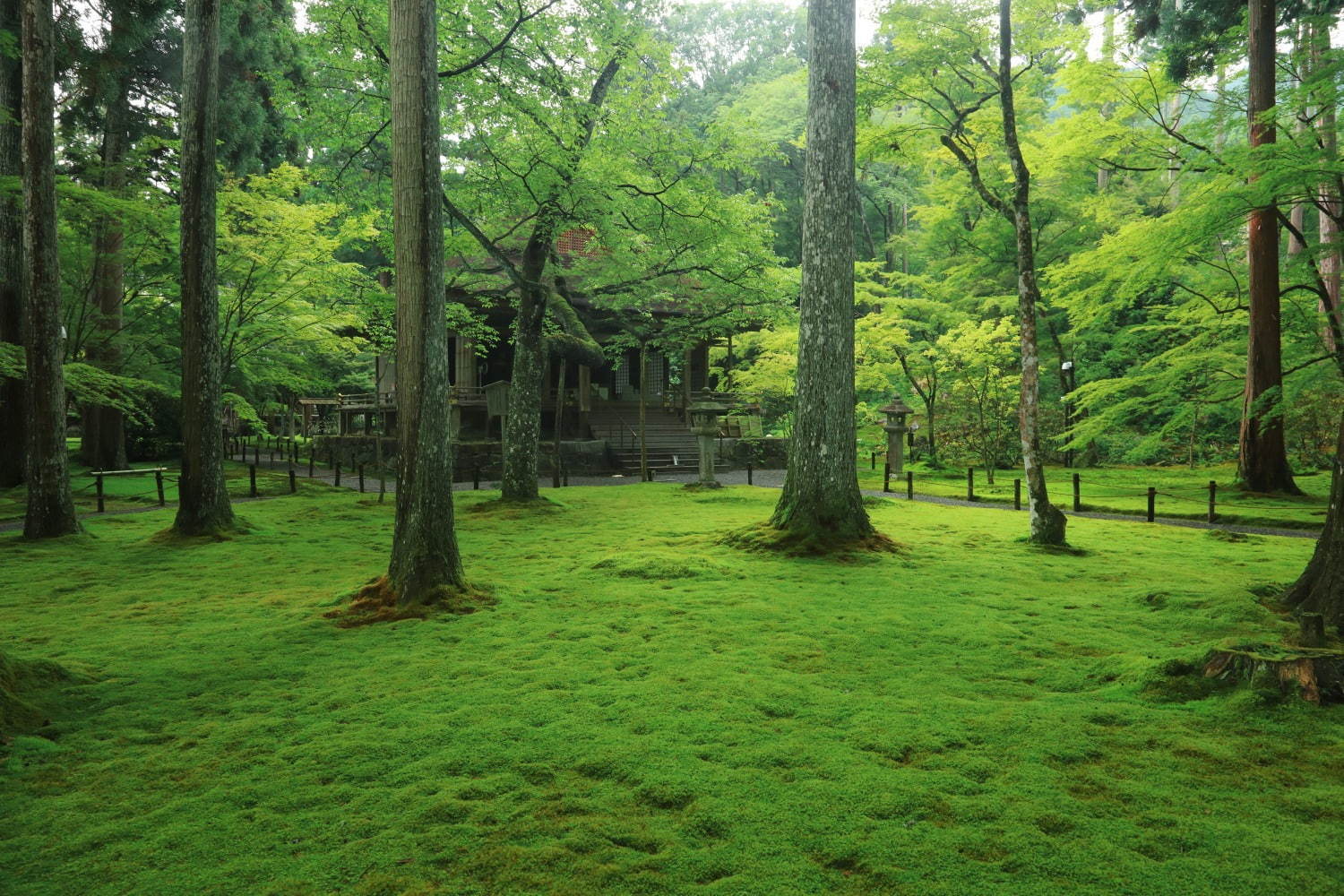 三千院 - 写真3