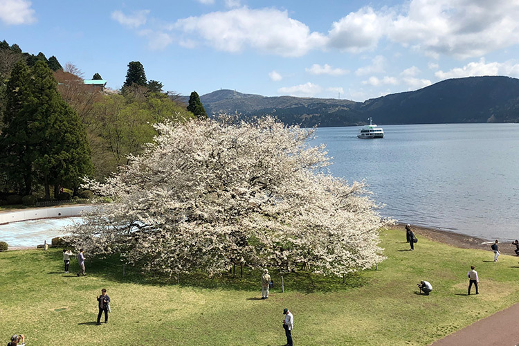 箱根園 画像1枚目