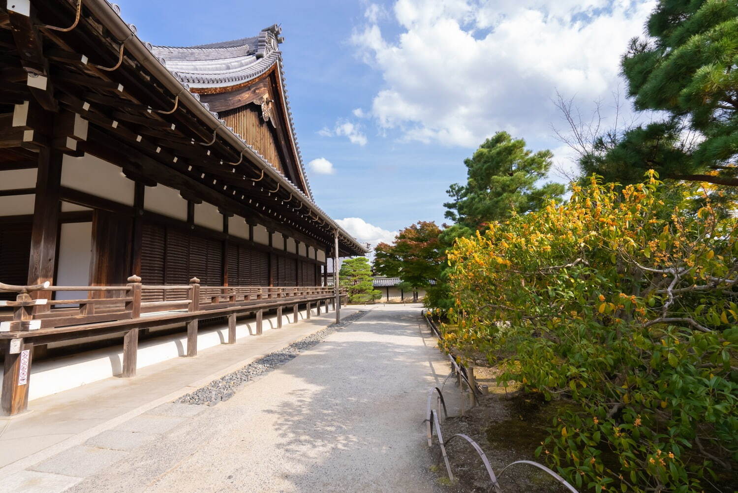 天龍寺 - 写真3