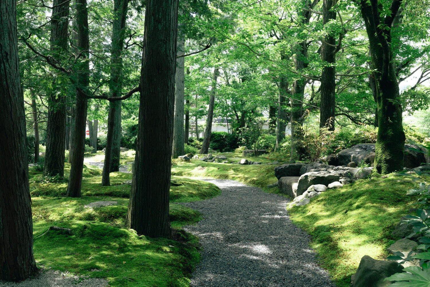 泉屋博古館 - 写真2