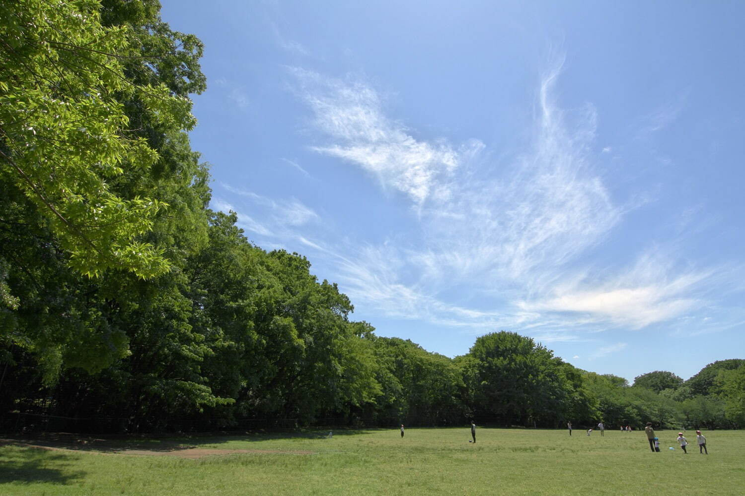 砧公園 - 写真2