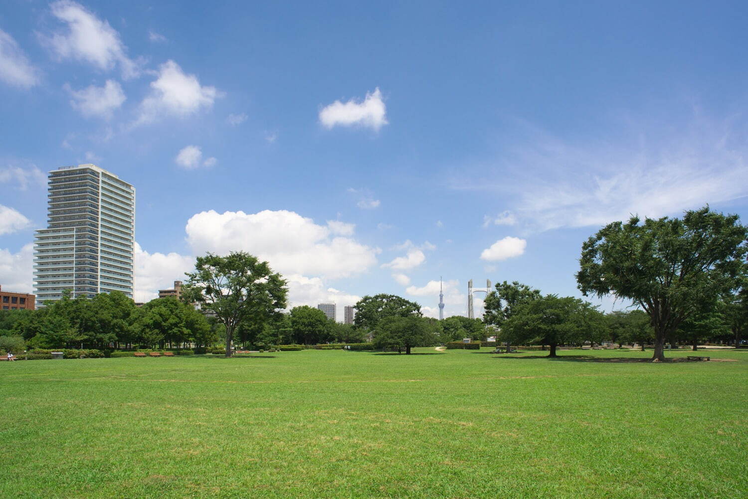 木場公園 - 写真3