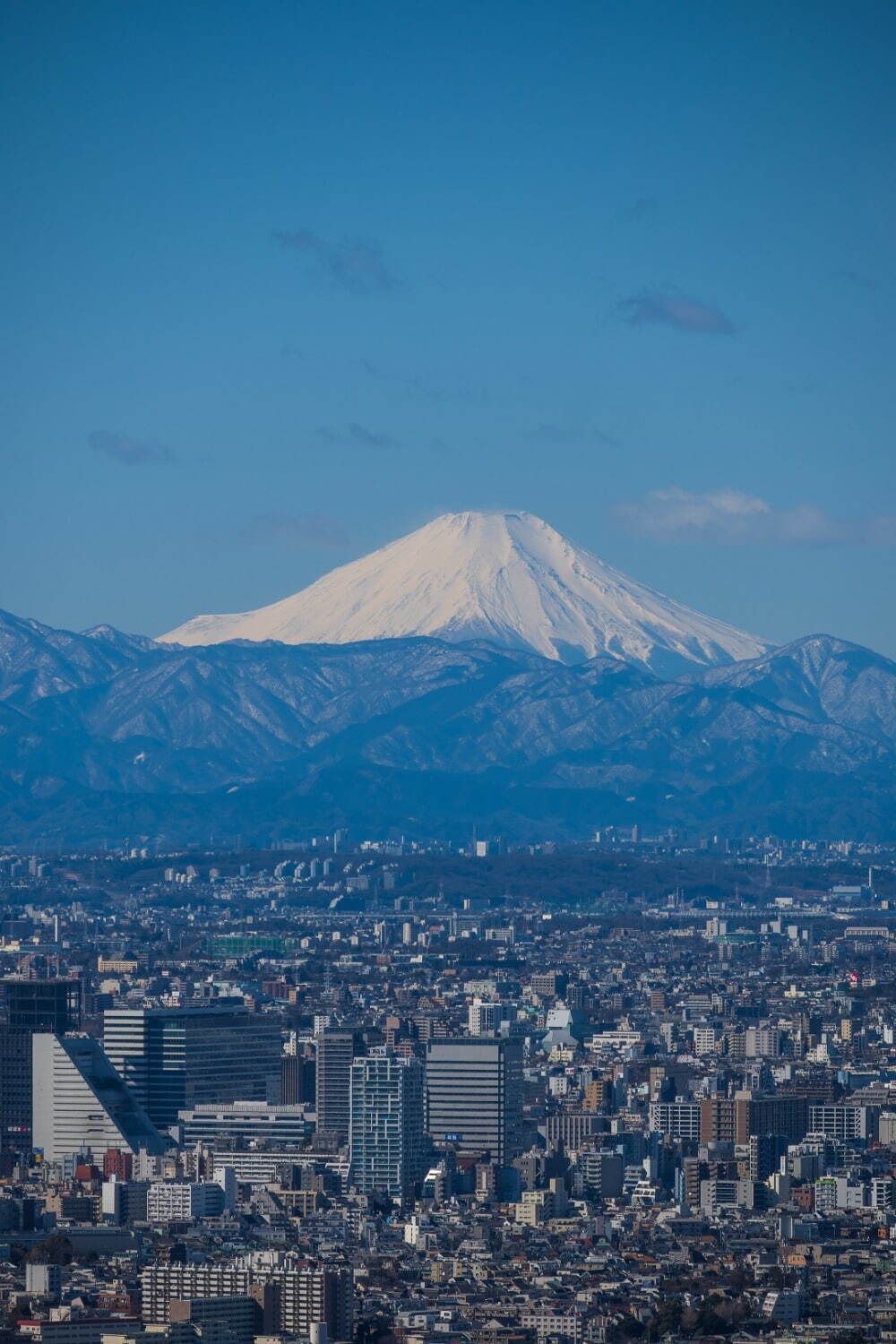 サンシャイン60展望台 てんぼうパーク - 写真5