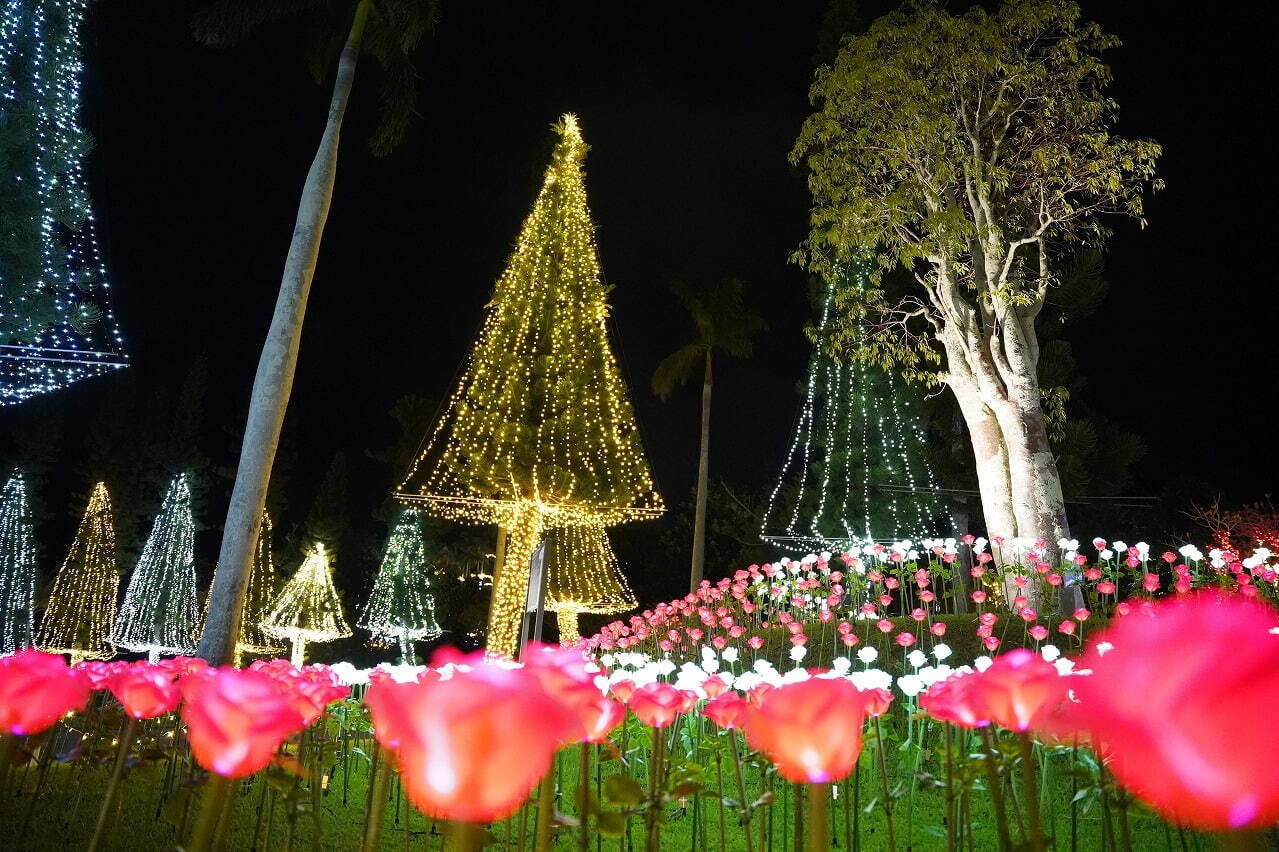 美らヤシパークオキナワ・東南植物楽園 - 写真5