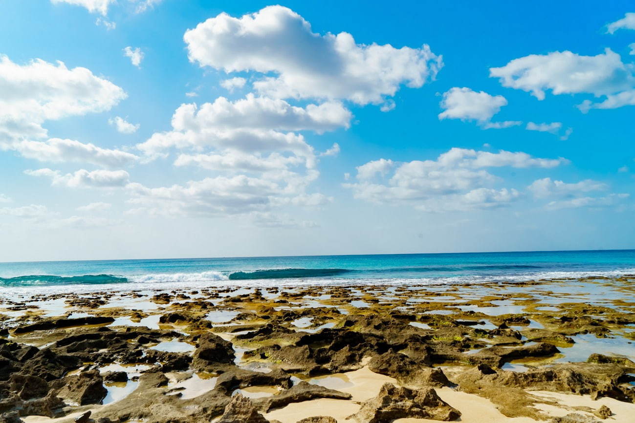 手広海岸 - 写真4