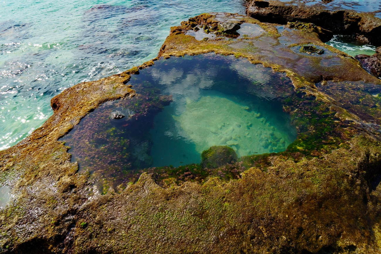 手広海岸 - 写真6