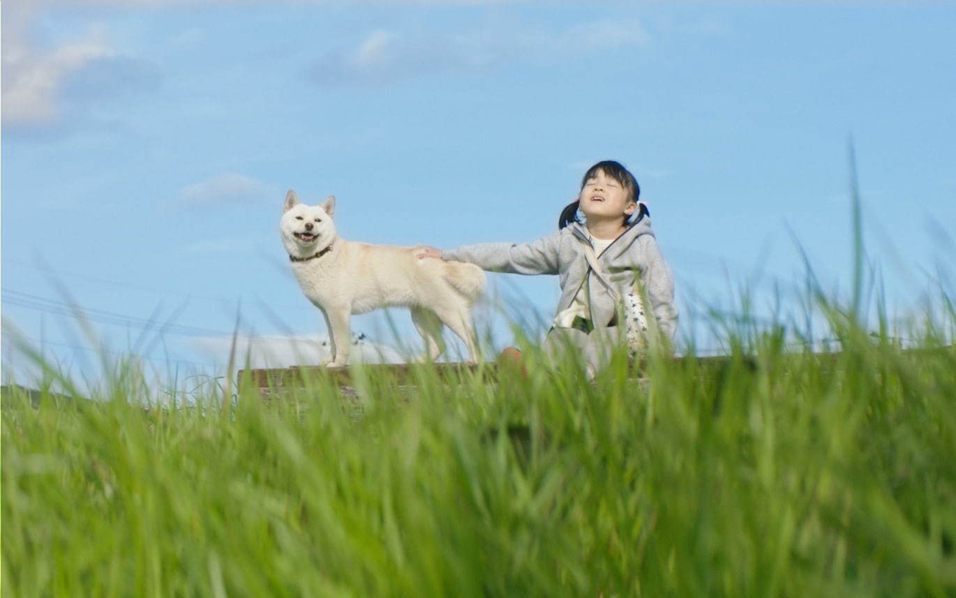 駅までの道をおしえて - 写真5