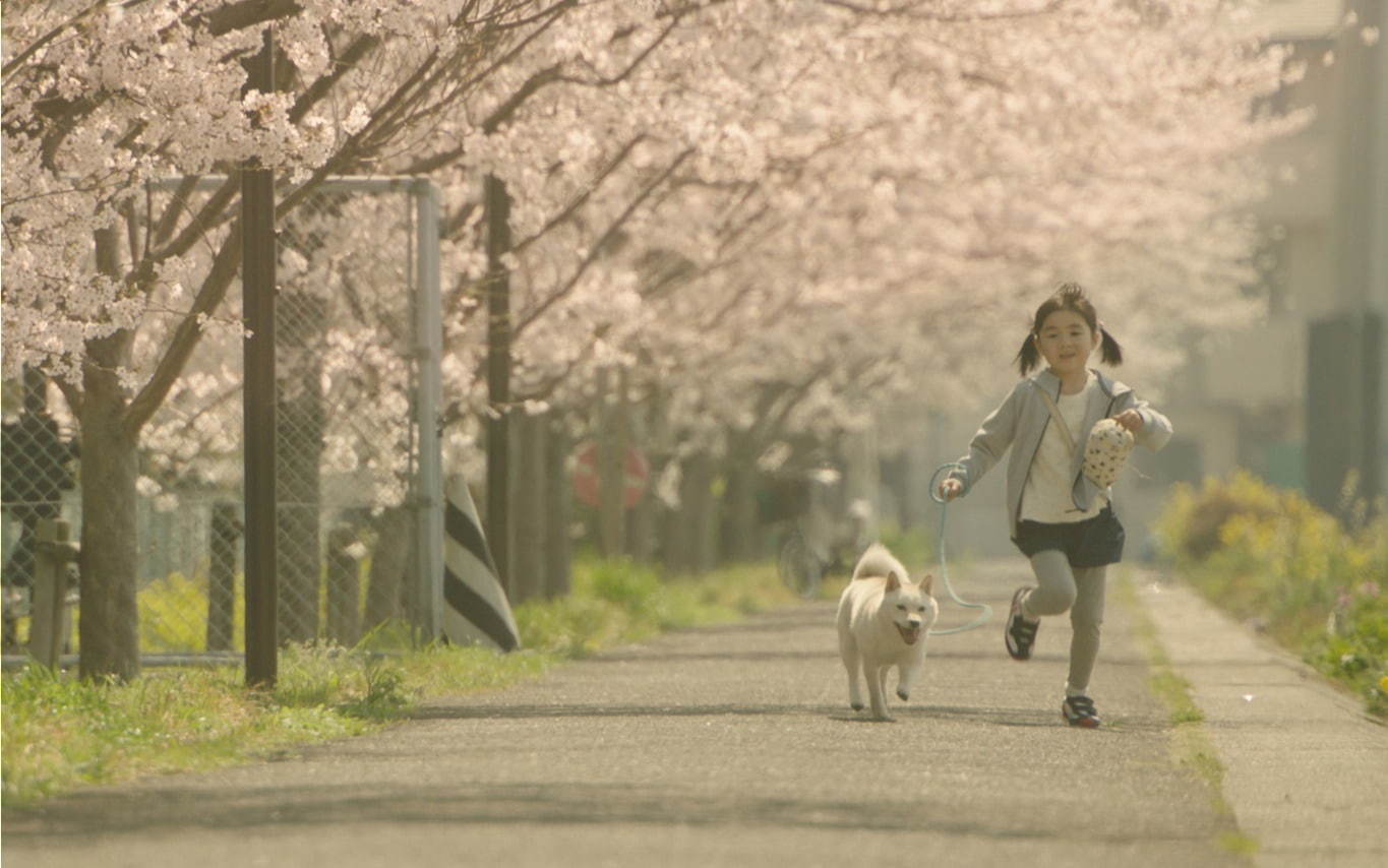 駅までの道をおしえて - 写真8