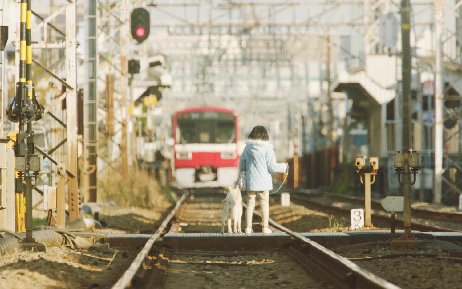 駅までの道をおしえて - 写真14