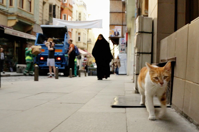 猫が教えてくれたこと - 写真4