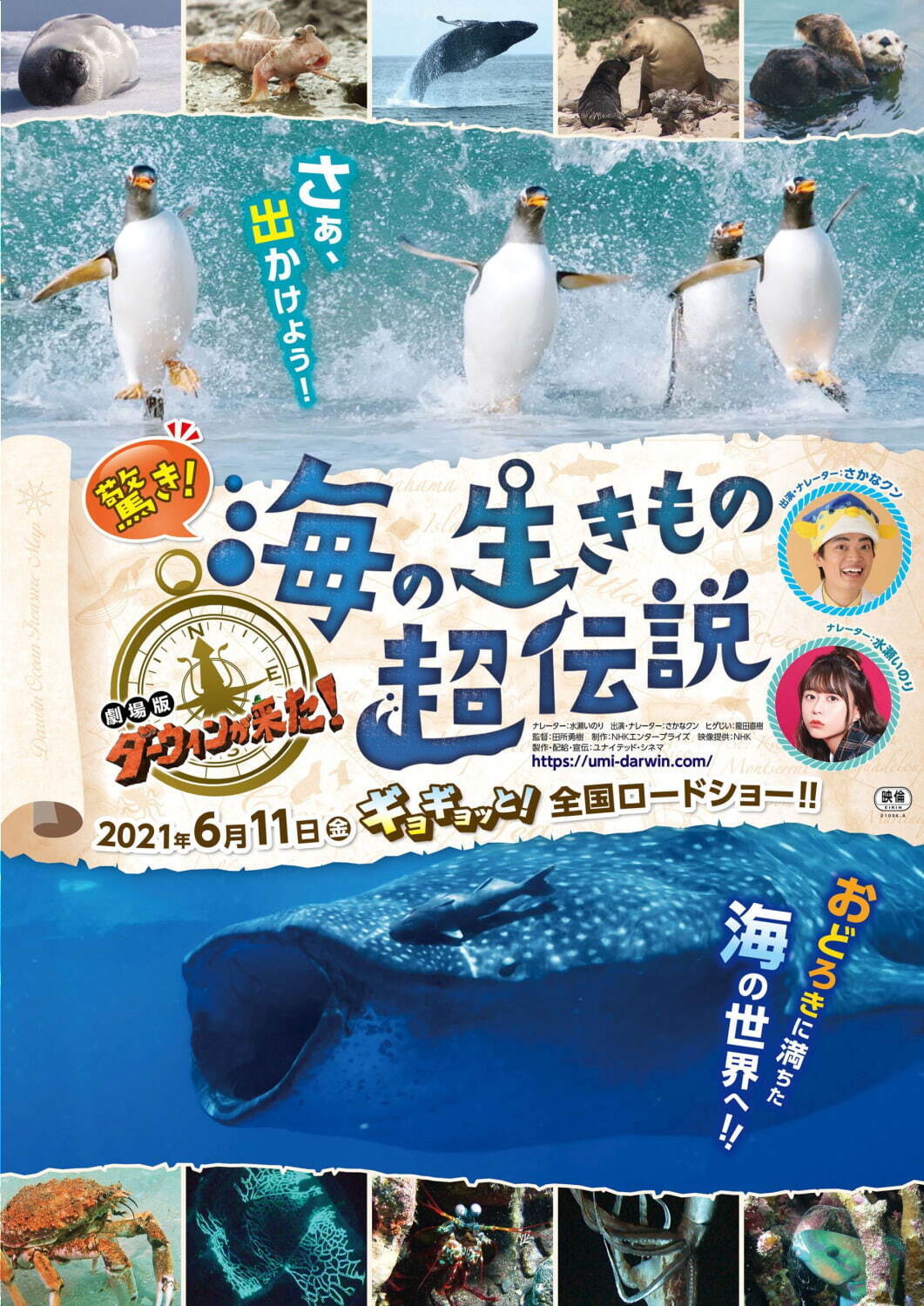 驚き！海の生きもの超伝説 劇場版ダーウィンが来た！ - 写真7