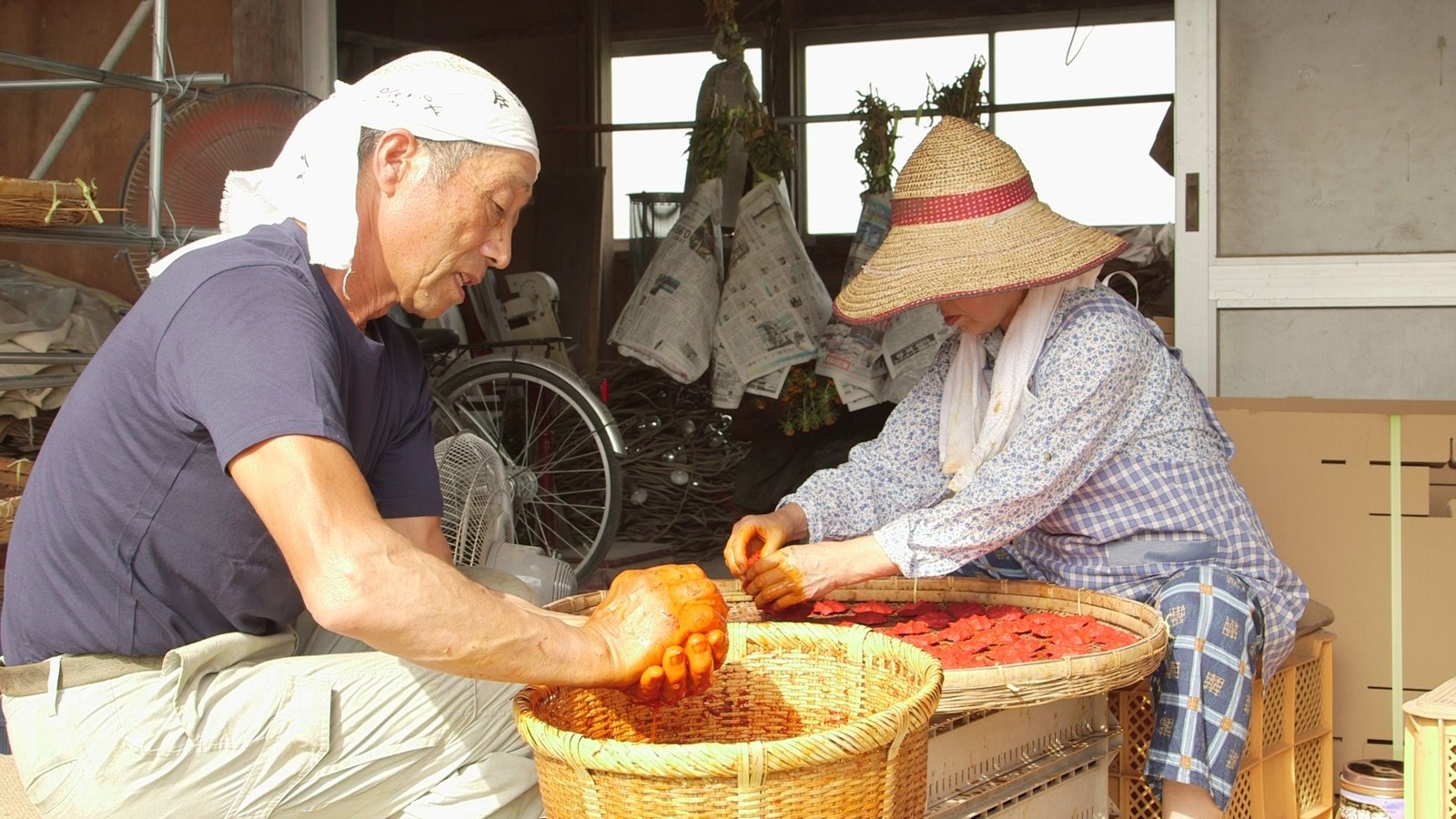 紅花の守人 いのちを染める - 写真4