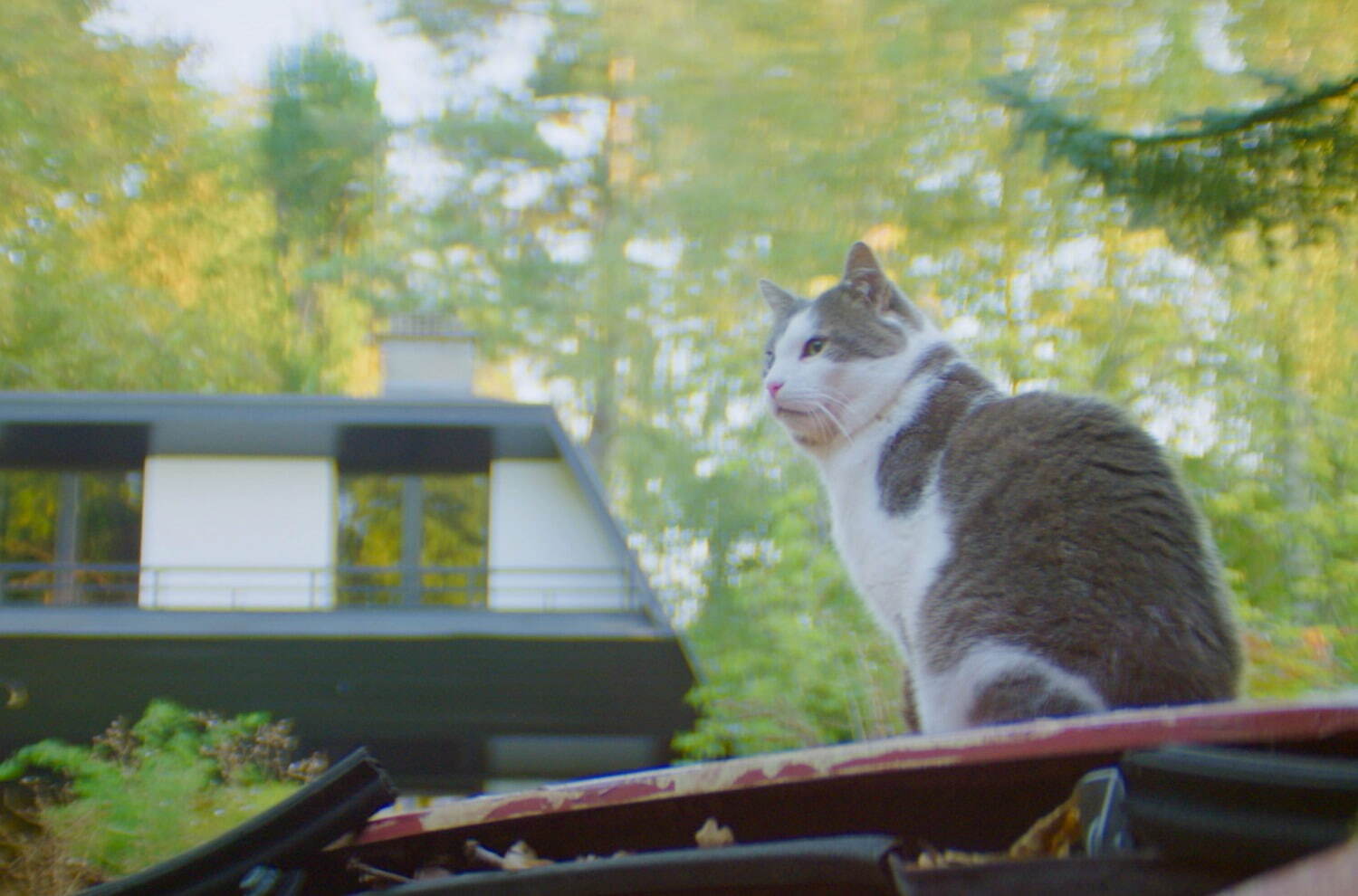 地下室のヘンな穴 - 写真5