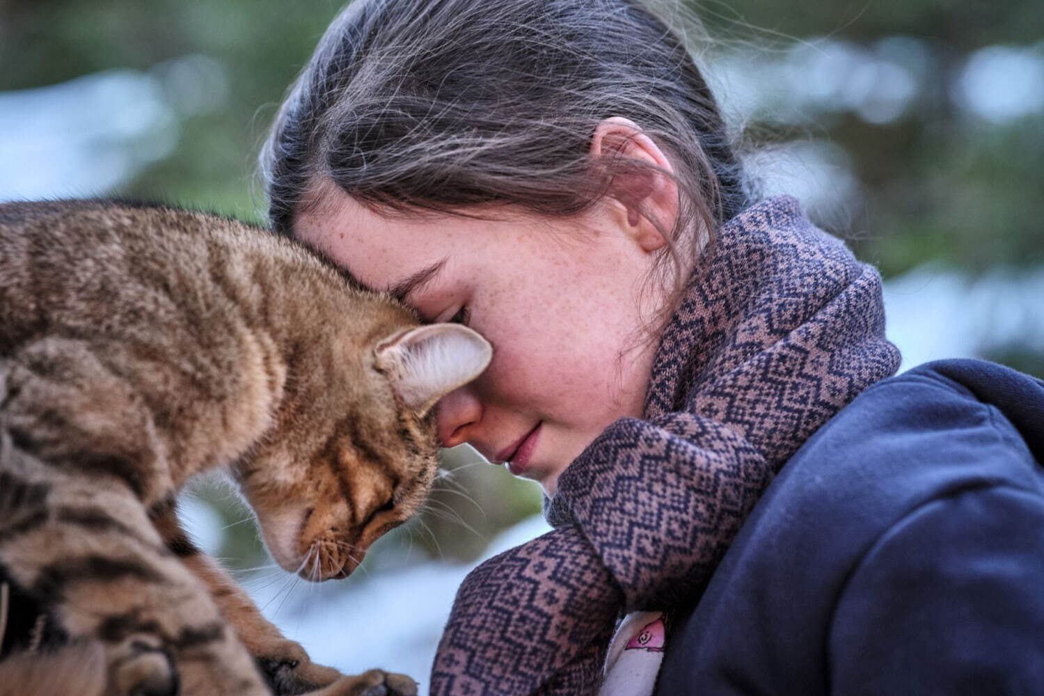 『ルー、パリで生まれた猫』場面カット｜写真8