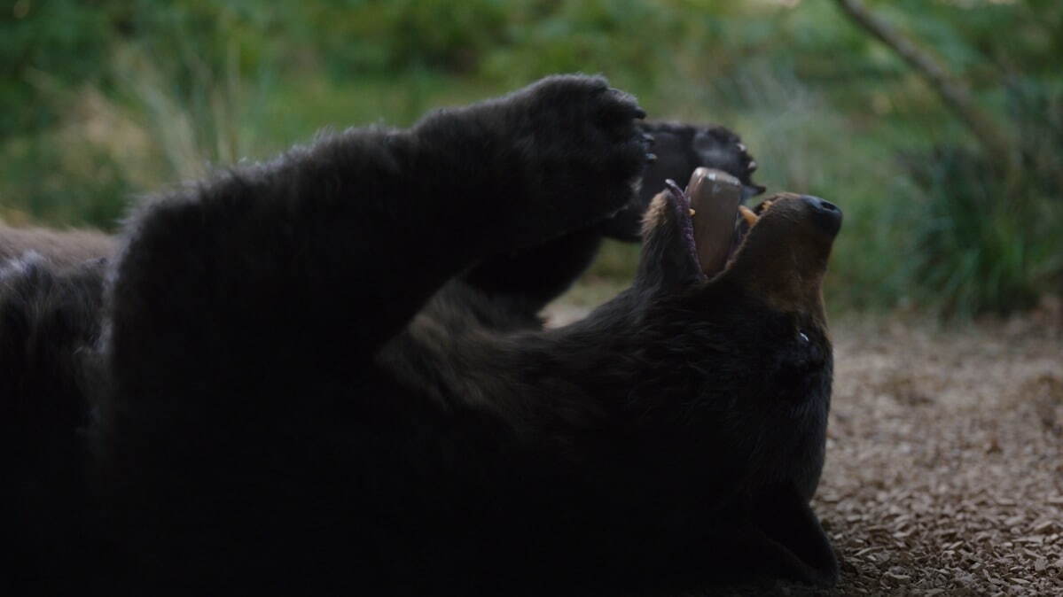 コカイン・ベア - 写真19