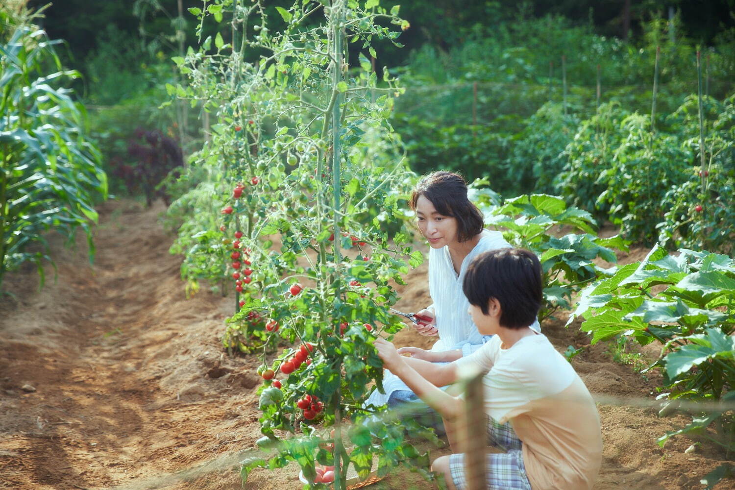 『かくしごと』場面カット｜写真8