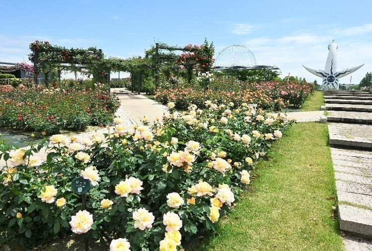 【全国の花見イベント2023】東京＆観光地のおすすめ公園など、桜の名所～フラワーガーデンまで｜写真16