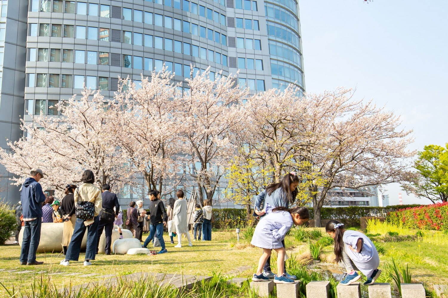 「六本木ヒルズ 春まつり2023」日本の伝統芸能や夜桜ライトアップ、グルメ屋台も｜写真6