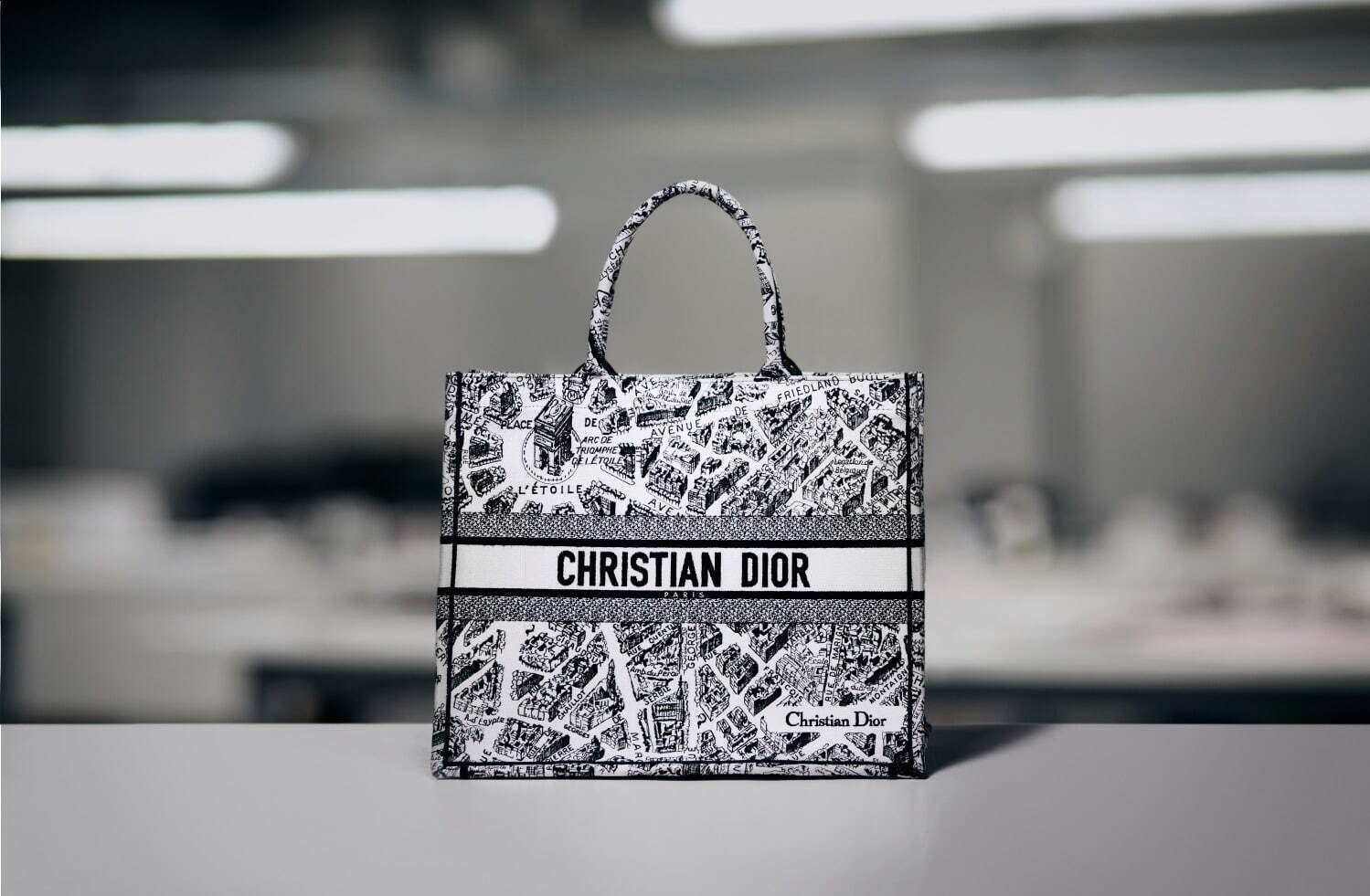 ディオール(DIOR) プラン ドゥ パリ ディオール ブックトート｜写真8