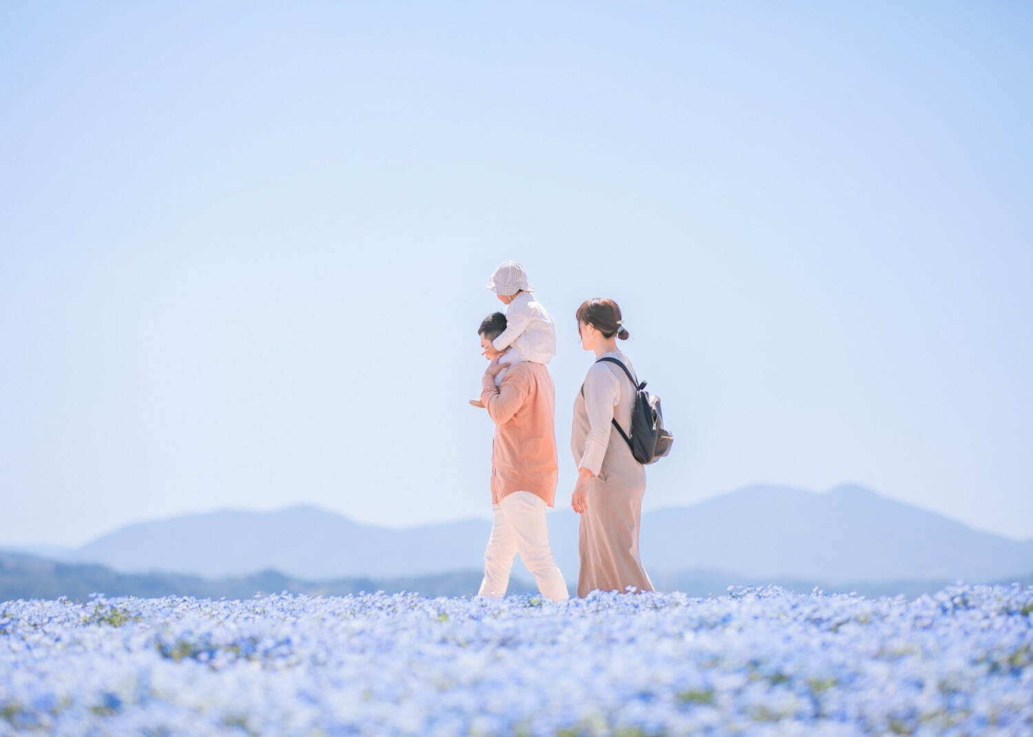 広島県世羅町「Flower village 花夢の里」100万本のネモフィラと芝桜が咲く春イベント｜写真2