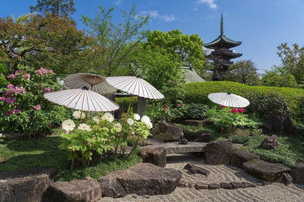 【関東の春イベント2023年】東京・首都圏のおでかけ＆グルメスポット、おすすめお花見イベントも | 写真