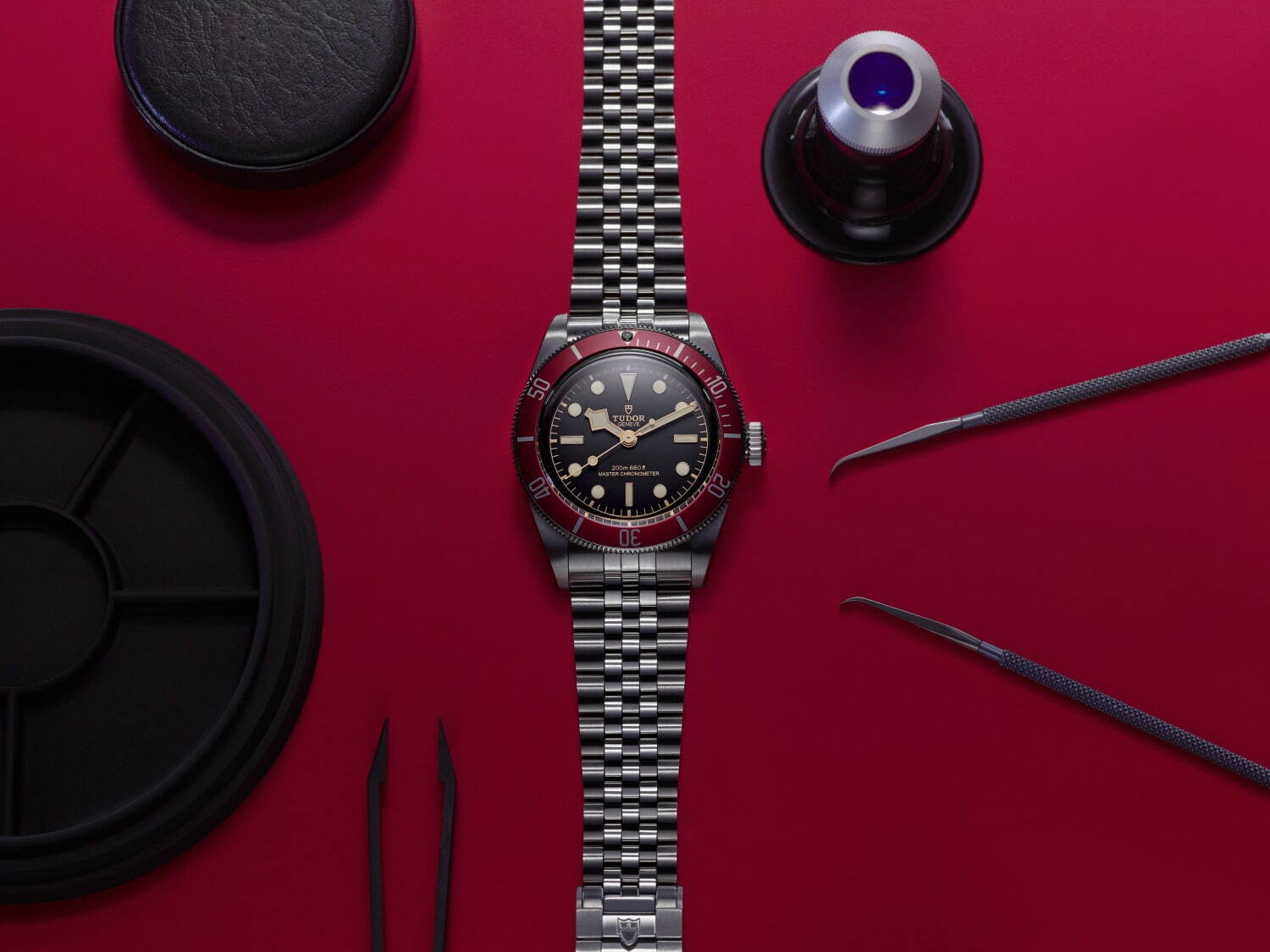 チューダー(TUDOR) ブラックベイ｜写真7