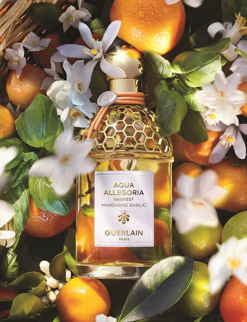 ゲラン(GUERLAIN) アクア アレゴリア ハーベスト｜写真3