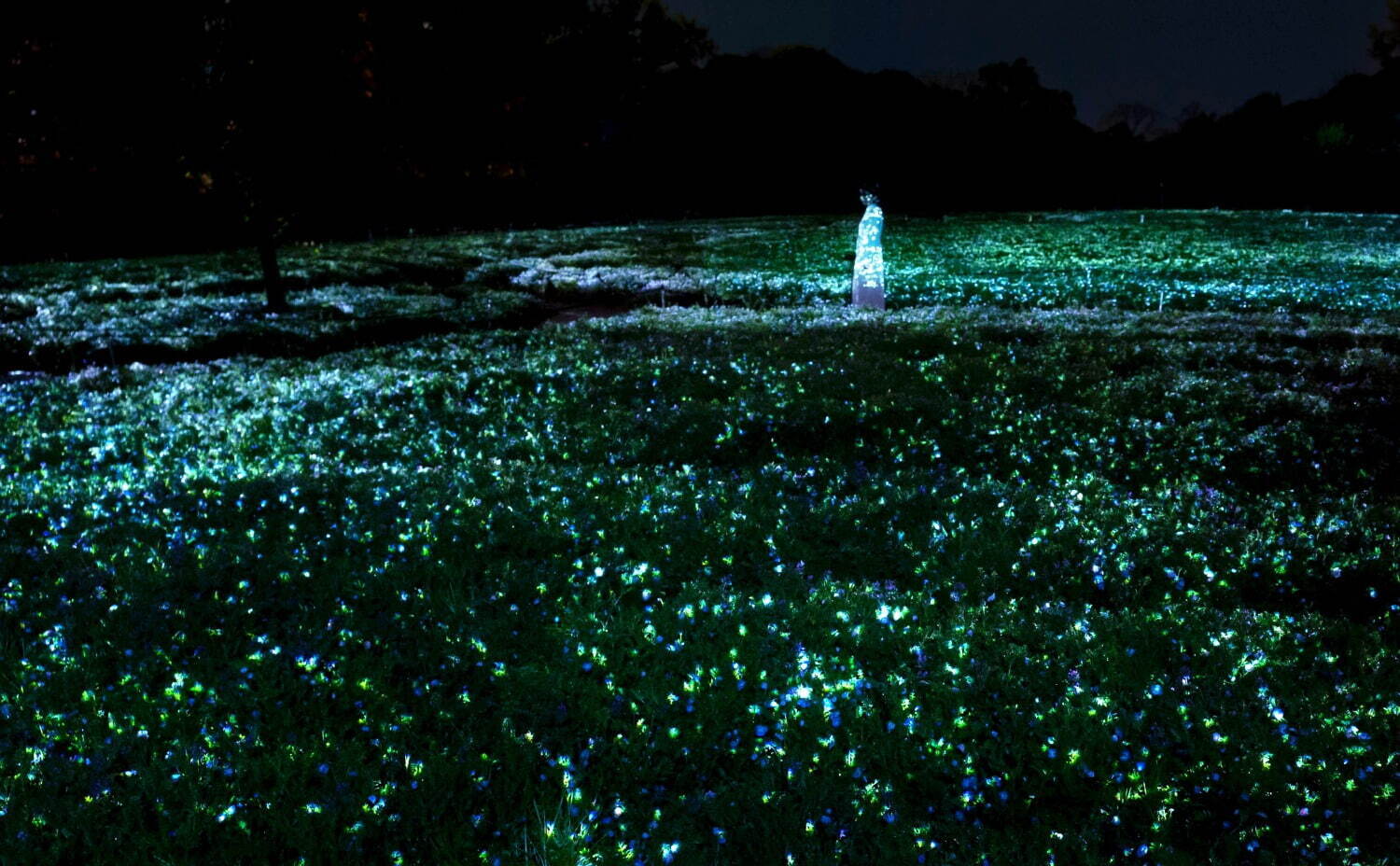 光り輝く一面のネモフィラ「チームラボ ボタニカルガーデン 大阪」長居植物園で、光と音色が伝播｜写真3