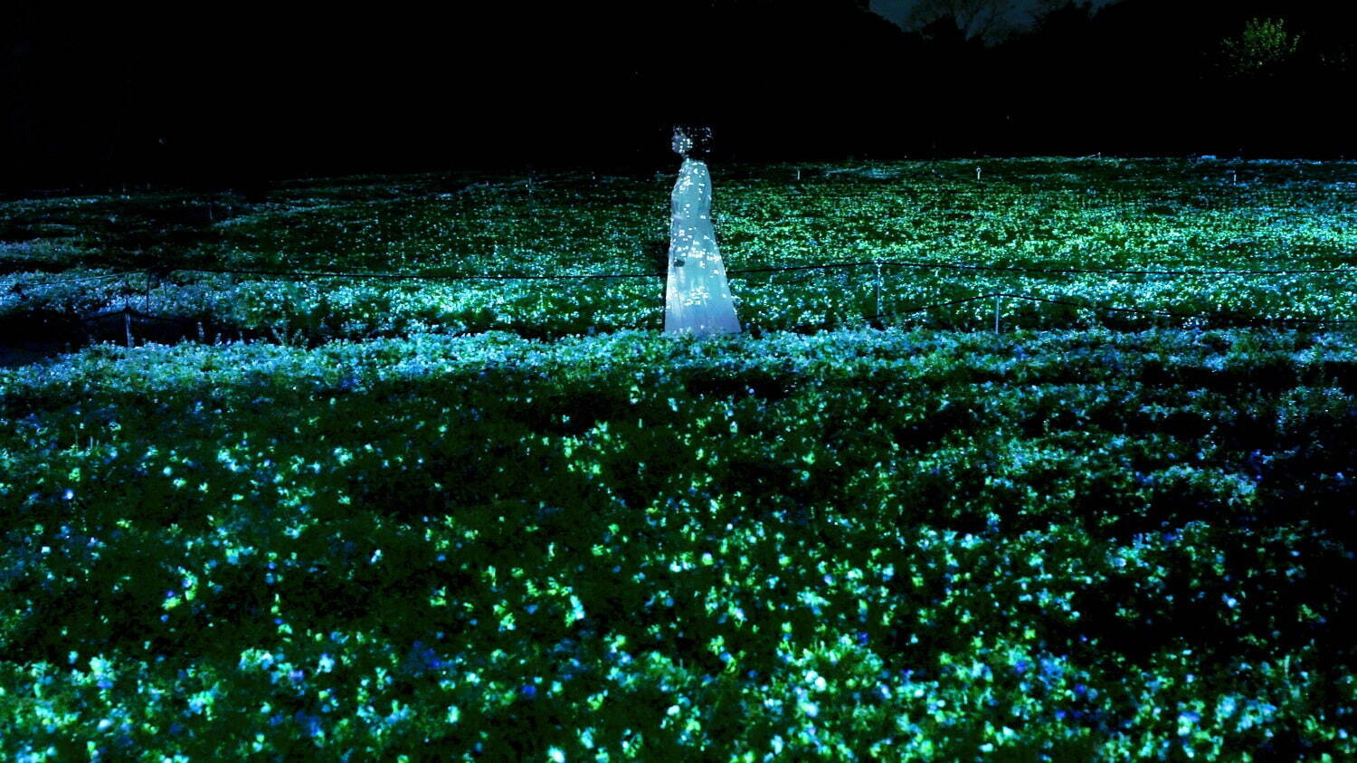 チームラボ《生命は闇に浮かぶまたたく光 - ネモフィラ》2023, Interactive Digitized Nature, Sound: Hideaki Takahashi © teamLab, courtesy Pace Gallery