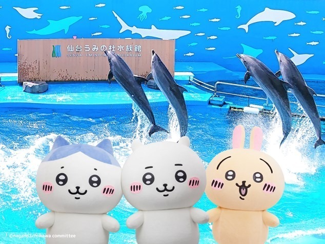 「ちいかわ水族館 in 仙台うみの杜水族館」ハチワレやうさぎが水槽＆イルカショーに登場｜写真1