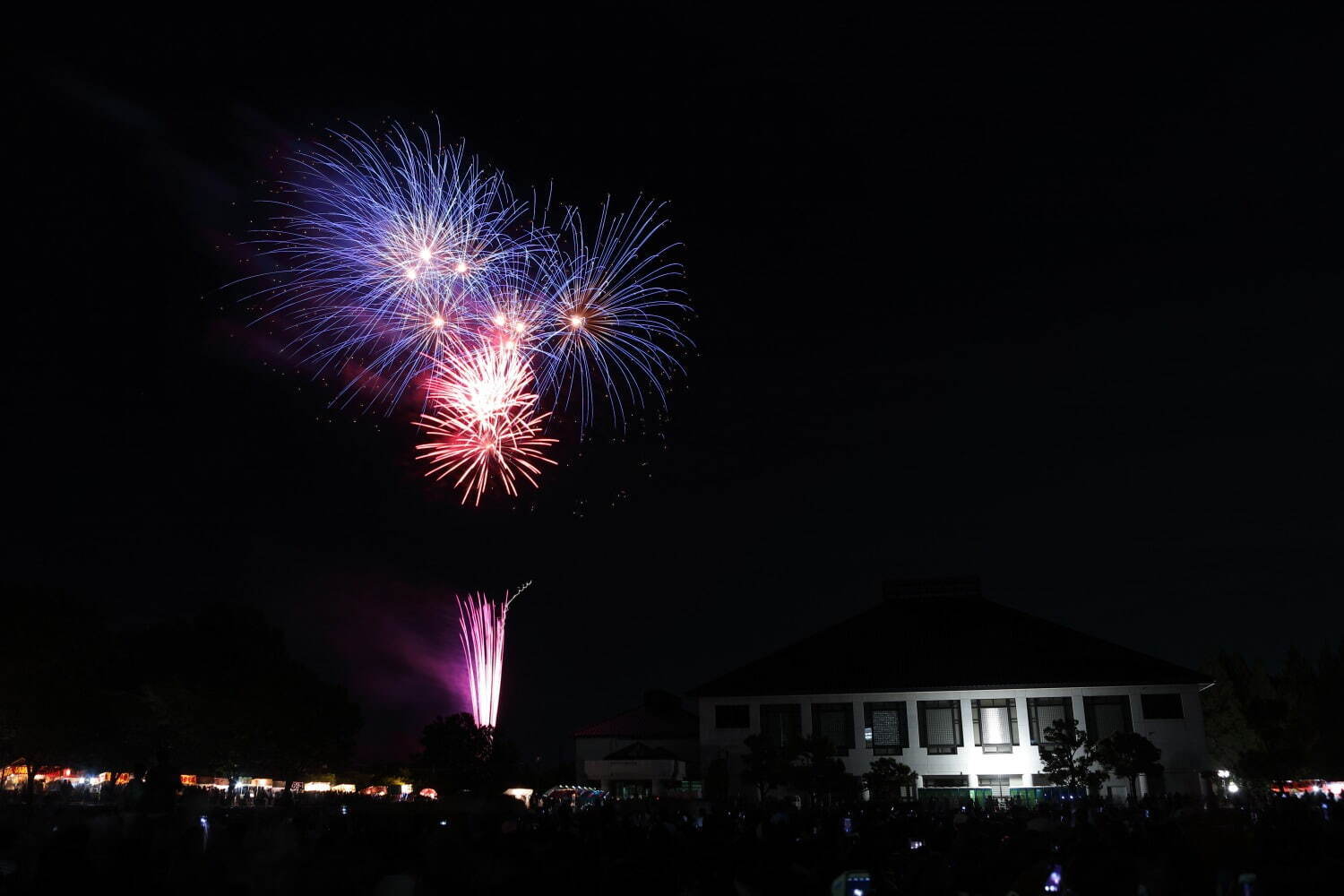 令和5年度「さいたま市花火大会」4年ぶりに通常規模で開催、大宮地区・浦和地区・岩槻地区の3会場で｜写真3