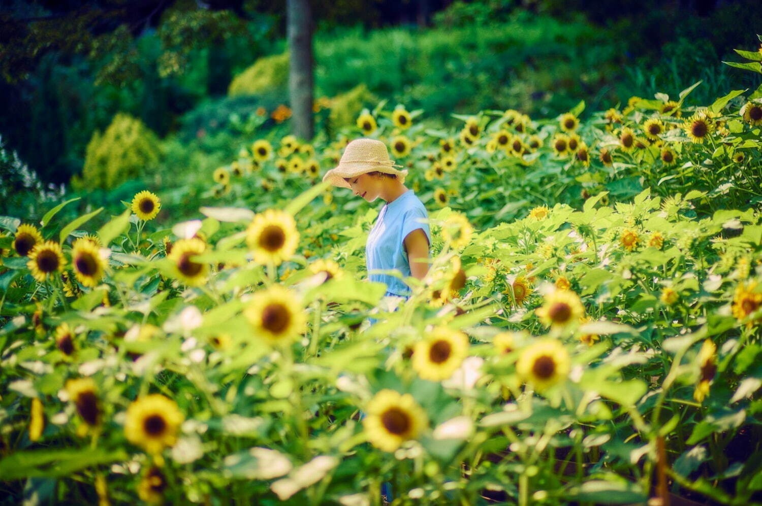 【関西の夏イベント2023】大阪＆京都の花火大会・アートイベントなど、おすすめおでかけスポット｜写真8