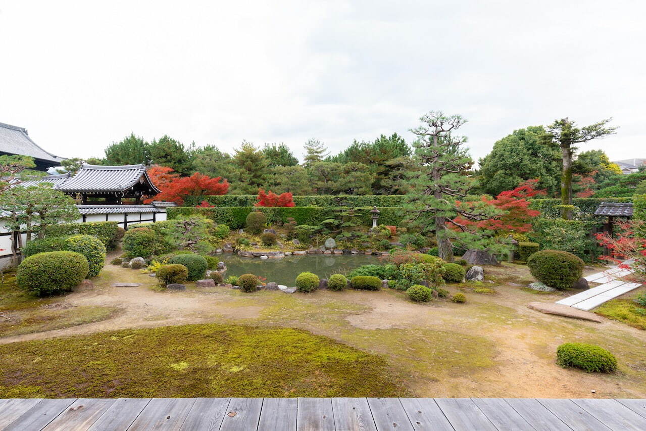 京都の2023年秋季寺院特別公開、大徳寺興臨院などで“紅葉×日本庭園”の絶景｜写真7