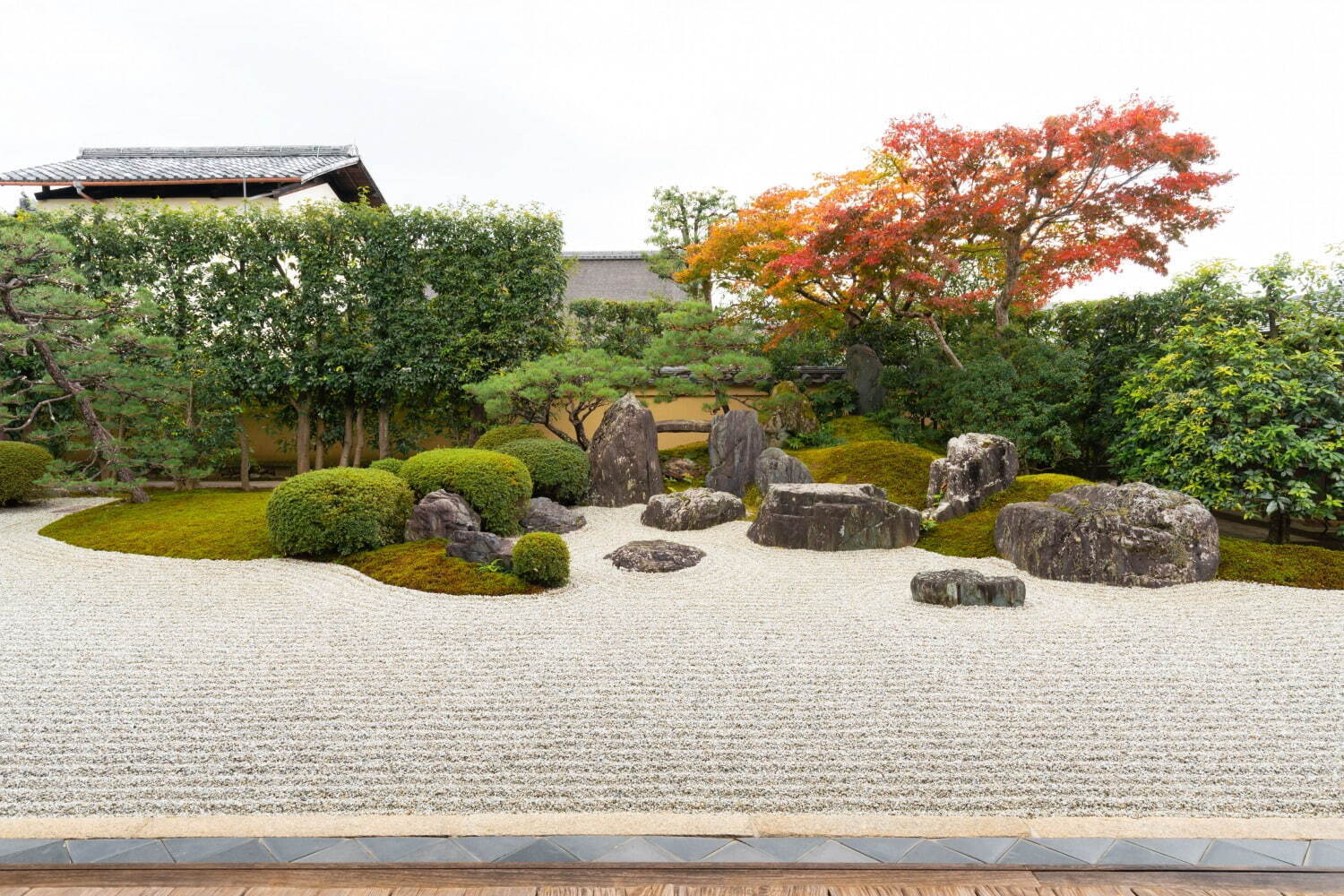 京都の2023年秋季寺院特別公開、大徳寺興臨院などで“紅葉×日本庭園”の絶景｜写真16