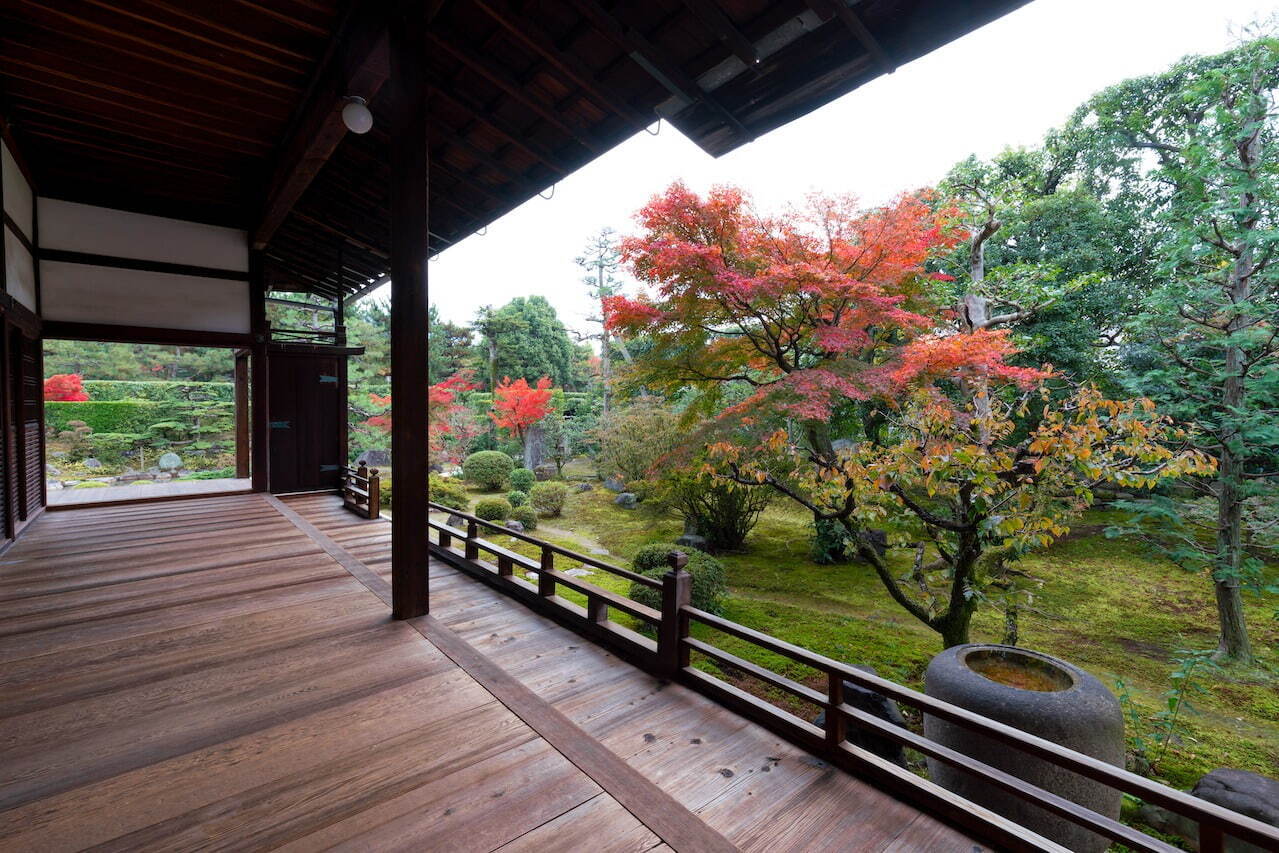 京都の2023年秋季寺院特別公開、大徳寺興臨院などで“紅葉×日本庭園”の絶景｜写真6