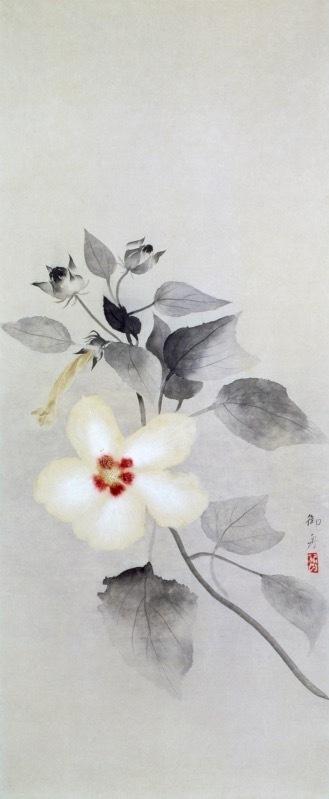 速水御舟 《白芙蓉》 1934年(昭和9年) 紙本・墨画彩色 山種美術館