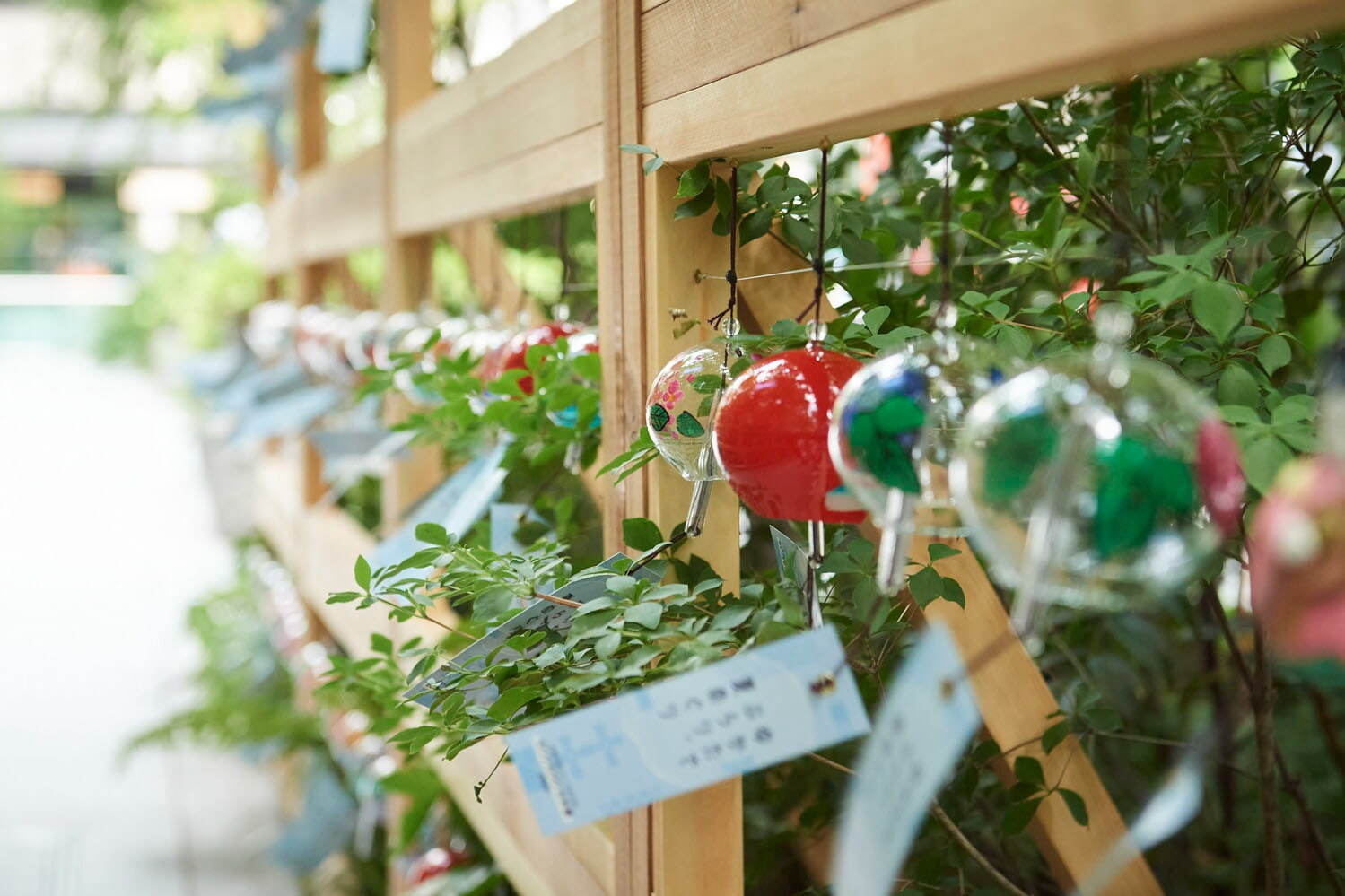 “かき氷フェス”や“江戸風鈴の小径”を開催、東京・日本橋の夏イベント「ECO EDO 日本橋」｜写真3