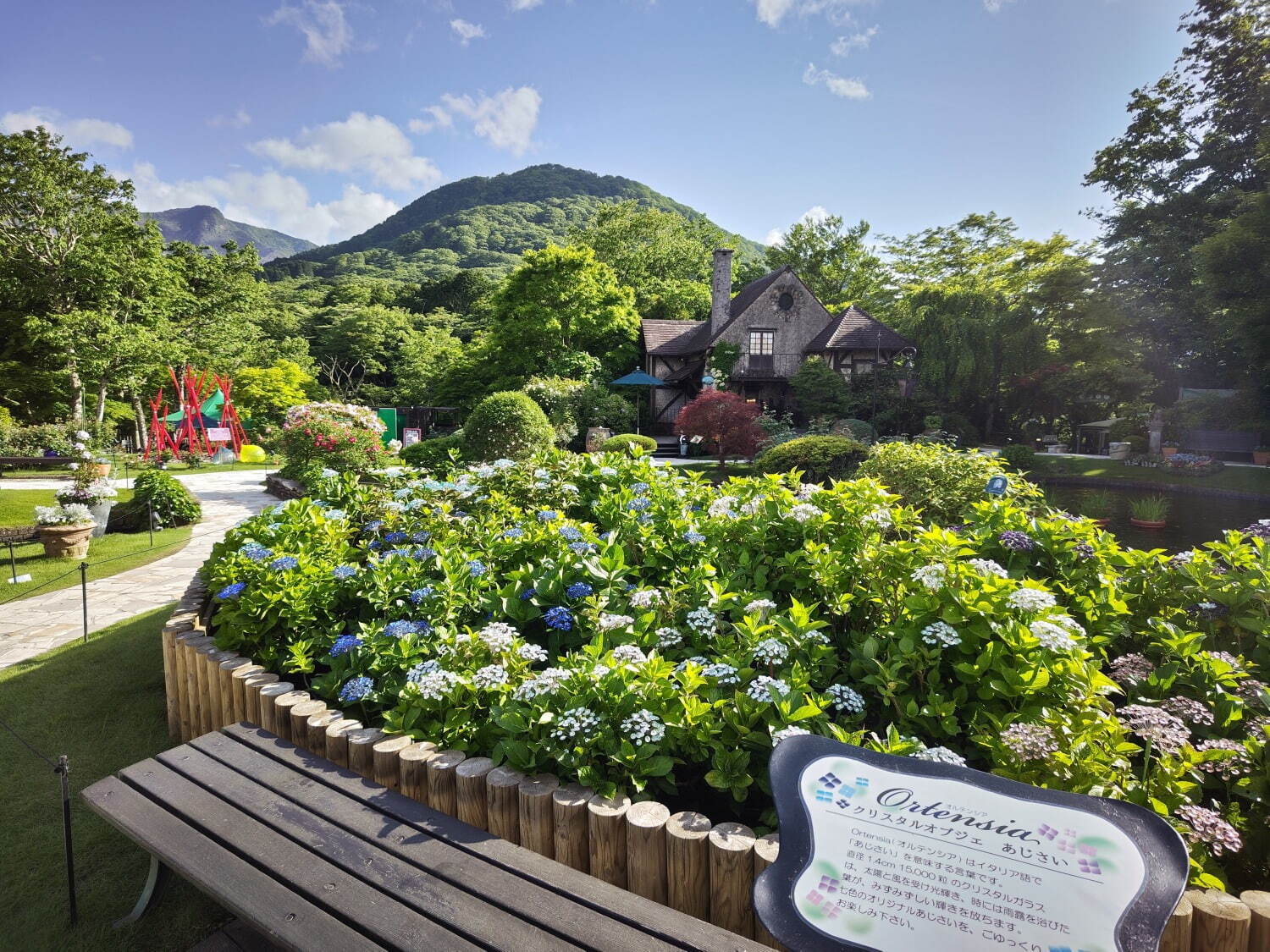 箱根ガラスの森美術館“約4万8千粒のクリスタルガラス”輝く「水上花火」7色ガラスのあじさいも｜写真3