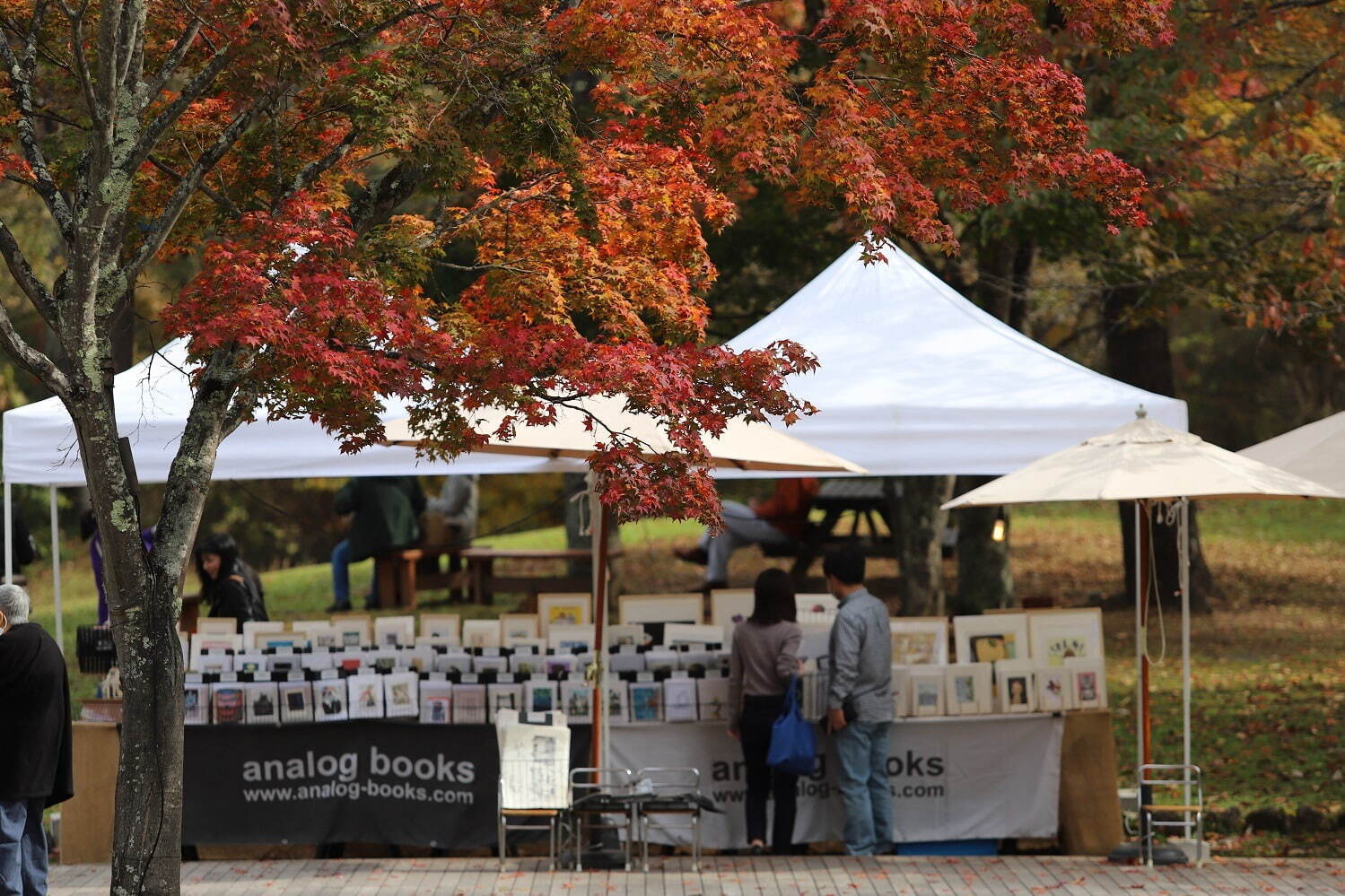 紅葉の中で読書を満喫する「紅葉図書館」軽井沢星野エリアで、どら焼きやりんごドリンクも｜写真12