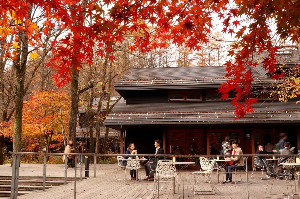 紅葉の中で読書を満喫する「紅葉図書館」軽井沢星野エリアで、どら焼きやりんごドリンクも｜写真14